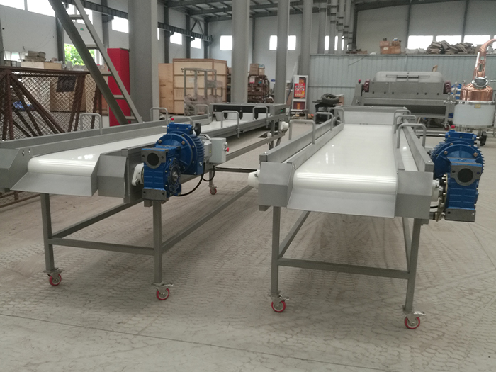 皮帶分選輸送機(jī)